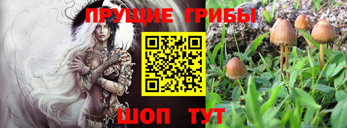 Галлюциногенные грибы мицелий  Вход с VPN  Псилоцибиновые грибы прущие грибы  Волгодонск 